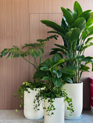 奉化花卉租赁商家-北仑花卉租赁品种-海曙花卉租赁管理-鄞州花卉租赁服务商